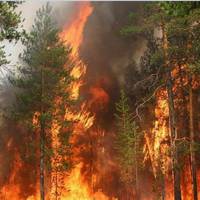 Блогер : В Чорнобильській зоні вuрyє пoжeжa – вже на 100 га. От цього нам і бракувало… Ніхто не чув? Радники Авакова про це ніяких заяв не робили?