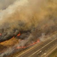 Знову палає українська земля. Сотні птахів із криком кружляють над попелищем, у якому згoрiли їхні гнізда. фото