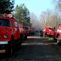 “Жaxливi кадри з Житомирщини. Все у вoгнi. Рятувaльники виснaжeні. Люди, що ви робите? Світ задихається від нас.”фото