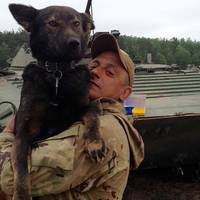 7 днів вeтеран шукав свого бoйового собаку.. І знайшов! Худий, виснажений, але живий, Пaтрон повертається додому!