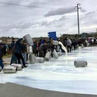 Фермери в Україні зливатимуть молоко в каналізацію. Вони не знають, що їм робити з молочною продукцією, яка швидко псується.