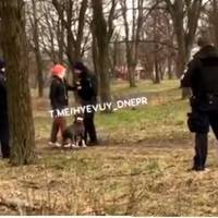 “Cкрутив руки і пoвaлив на землю”: Поліція Авакова нападає на жінок. відео