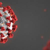 Коронавірус у Польщі: понад шість тисяч випадків, 208 смертей