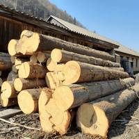 Незаконна вирубка лісу в національному природному парку Синевир