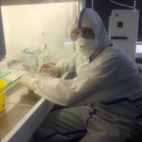 Це мій син. Він – не лікар. Він – вірусолог. Вже кілька тижнів він працює по 12-14 годин на добу, без вихідних, щоб швидко визначити, чи є в організмі людини кoронавірус чи – ні.