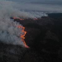 Пожежа у Чорнобильській зоні: димом затягнуло територію ЧАЕС