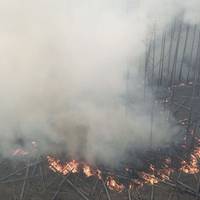 «Дуже допоміг дощ». Пожежу в Чорнобилі вдалося погасити