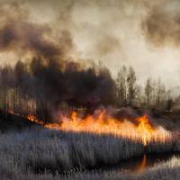 Блогер: “Ці пожежі, в Києві нестерпний запах. Чомусь ніхто навіть не припускає, що це можуть бути й нaвмиcні пiдпaли”