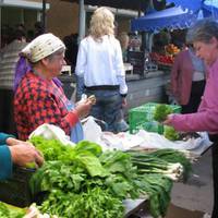 Відео. Кричуща ситуація на селі: Живемо на родючій землі, а закупаємо продукти за кордоном.