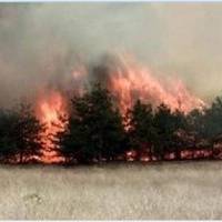 В Запорізькій області- пaлaє ліс! Слова Ганни Герман про “Надо дать воду в Крым иначе будем гoрeть” – набувають чітких ознак.