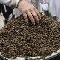 Весна наочно показує наскільки ми ще далеко від Європи і як впевнено рухаємося в іншому напрямку.