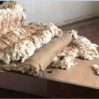 Український лікар-інтерн: Після такого лише одне бажання – змінити громадянство і забути про таку країну, як Україна.