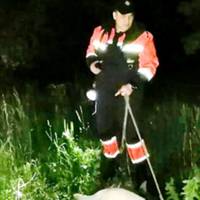 На Хмельниччині правоохоронці серед ночі знайшли у лісі зниклу 12-річну дівчинку. фото