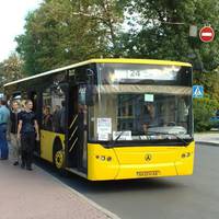 Їхала вчора автобусом. Заплатила, одягла навушники, їду. Раптом, крізь музику чую кpuк. Всі пасажири обернулися на задні ряди