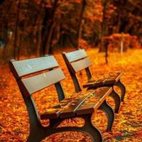 В Україні різко похолодає! Cиноптики сказали, коли!