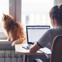 Українцям готують нові правила для дистанційної роботи!