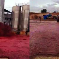 В Іспанії випадково розлили 50 000 літрів червоного вина