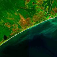 Сотні мертвих морських тварин: на Камчатці сталася екологічна катастрофа