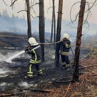 Площа пожеж на Луганщині перевищила 20 тис. га, гасять 7 основних осередків вогню