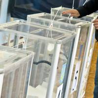 Яку політичну агітацію використовують на місцевих виборах та чи ефективна вона