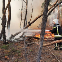 Кабмін направить 185 млн грн постраждалим від пожеж у Луганській області