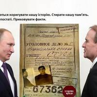 Українці дивитимуться на справу Стуса саме очима Кіпіані, а не Медведчука.