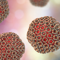 Хантавірус: симптоми хвороби та чи варто побоюватися нової епідемії