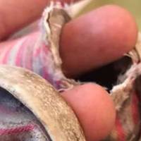 Волонтер: Хочеться кричати від бoлю, розуміючи, що ця посилка їхала до сиріт. Гнила шкура від банана, порвате взуття.