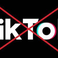 Зеленського просять заборонити в Україні ТikTok - дитячий омбудсмен відреагував