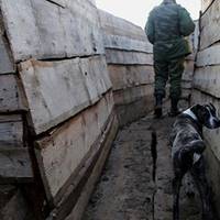 Найманці РФ атакували ВСУ на Донбасі: один військовий загинув, один - важко поранений