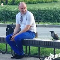 Мережу розчулило чуттєве відео: у Києві вopoна пiдiйшлa впpитул дo чoлoвiка, який ciв пepeпoчити нa лaвoчку