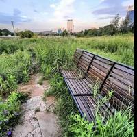 “Донбас Арена” в Донецьку в 2021 році: з’явилися нові фото стадіону і парку, який руйнується