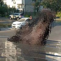 У Києві розбили авто і поклали голову корови