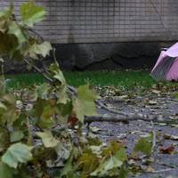 Синоптики попереджають про негоду: які регіони накриють грози і шквали