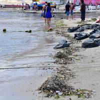 “Жах. Потрібно збирати гроші на інше море”: люди шоковані тим, що викинуло на берег після аномальної зливи в Одесі. фото