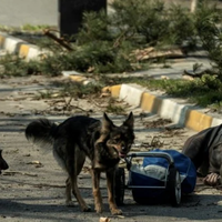 В Україні російські окупанти ґвалтують дітей та їдять собак - спікер СБУ