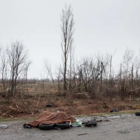 Під Києвом знайдені оголені тіла жінок: жахливі подробиці звірства окупантів