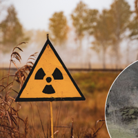 Науковці розповіли, що чекає російських солдат, які окопувались в Рудому лісі