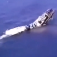 ВІДЕО! Історичні ексклюзивні кадри як крейсер 