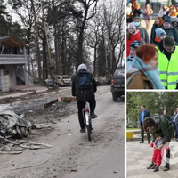 В Україну можуть не повернутися до 40% біженців: у Швейцарії здивувалися українкам та готують їм робочі місця