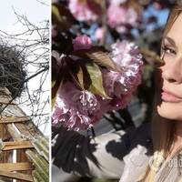 Сумська побачила знак, що Україна переможе, та показала зворушливе фото