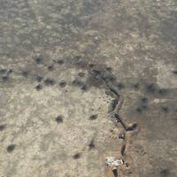 Українcькі бійці ліквідували під Попасною озброєних до зубів 