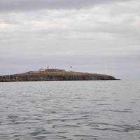 ЗСУ знову вдарили по окупованому Зміїному: знищено 42 окупантів