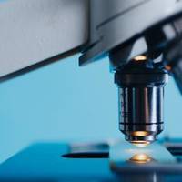 Європою поширюється мавпяча віспа: небезпечну хворобу виявили уже в 11 країнах