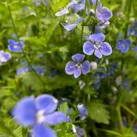 А за один день - вже літо: якою буде погода в червні