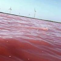 Щойно з Херсону: Ви не уявляєте, що тут твориться, Наташа, ми тримаємося щосили, але… Чекаємо на ЗСУ, і коли вони вже будуть близько, то херсонці голими руками та зубами будуть…