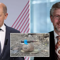 Німці вже цікавляться, чому ФРН стала, по суті, енерговасалом Росії, та роллю в цьому Меркель і Шольца