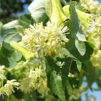 Що чекає на українців в липні: вісім нововведень, які торкнуться майже кожного