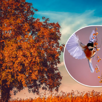 Вдарить мороз і налетять холодні зливи: Синоптики попередили про небезпечні метеоявища в Україні