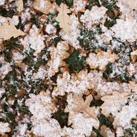 У шести областях України оголосили помаранчевий рівень небезпеки (карта)